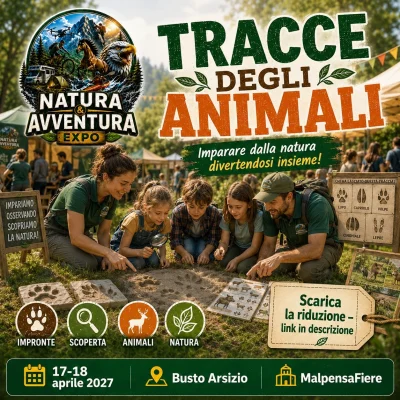 tracce degli animali