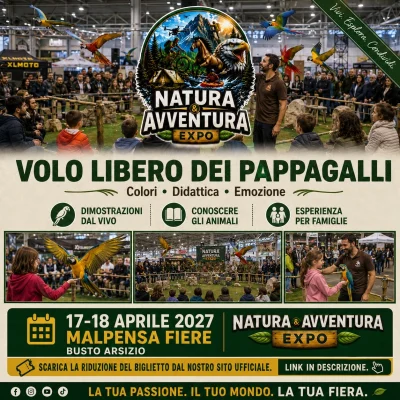 volo libero dei pappagalli